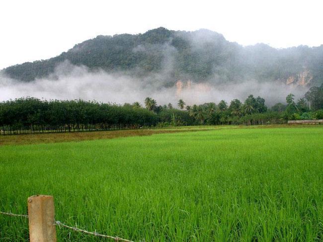 Naris Phuview Resort Satun Luaran gambar
